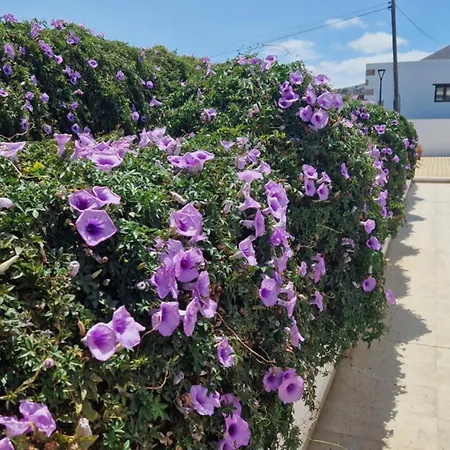 布卢姆小屋公寓